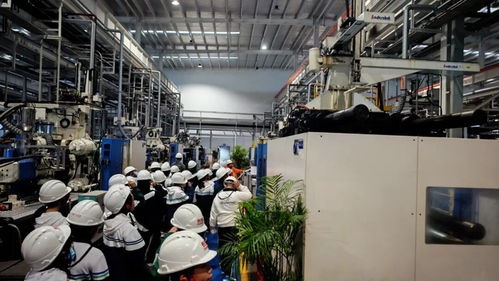 秋假啟航，長(zhǎng)虹雙創(chuàng)園打造工業(yè)科技研學(xué)新標(biāo)桿 信息技術(shù)的深度開發(fā)之旅